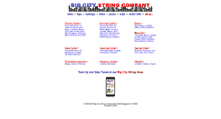 Desktop Screenshot of bigcitystrings.com